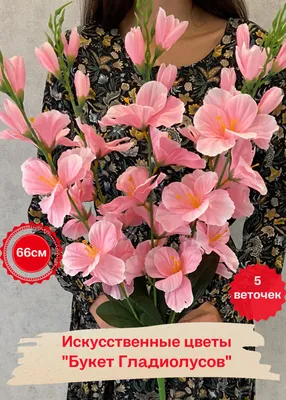 🌱 Гладиолус гибридный Sweet Blue по цене от 150 руб: луковицы - купить в  Москве с доставкой - интернет-магазин Все Сорта