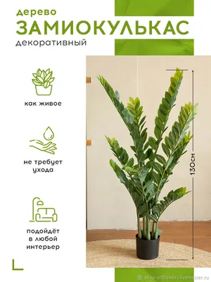 5 розовых гладиолусов в букете за 4 090 руб. | Бесплатная доставка цветов  по Москве