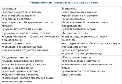 Глисты у кошек: виды, фото и локализация гельминтовВетлечебница Рос-Вет