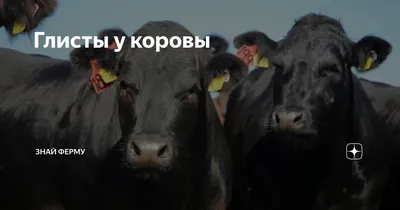 guta32 : Проверка на Трихинеллез, Бруцеллез.Продаю экпресс-тесты для п
