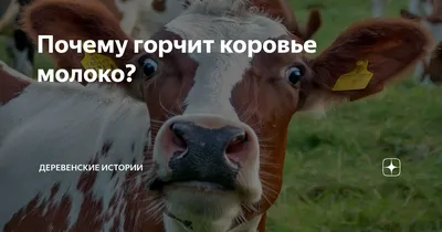 ДИКОЕ МЯСО: осторожно гельминты! - статья на сайте ГК Охотник
