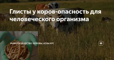 Equimedika - Библиотека - Статьи