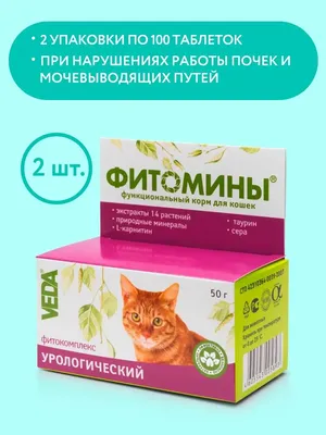 Мини-приют Домовенок Харьков - Домовенок🐈 мини-приют Этого кота мы назвали  РАМЗЕС 🐾 Он просто реально фараон! Мы забрали его, когда ловили уличных  кошек на стерилизацию. Забрали сразу в клинику. У кота рана