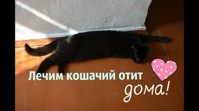 Отофлокс лечит отиты разной этиологии