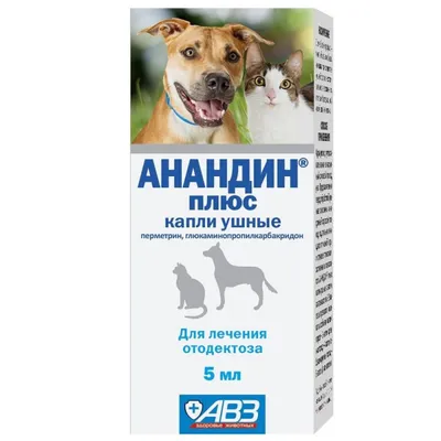 Как Лечить Отит У Кошек // Топ-5 Причин Появления Отита У Кошек //  Ветклиника Био-Вет - YouTube
