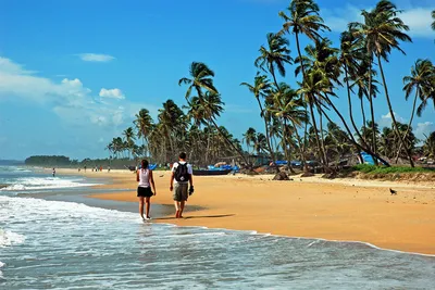 www.Goa.Su пляж Мандрем, Гоа в ноябре. Mandrem beach — Видео | ВКонтакте