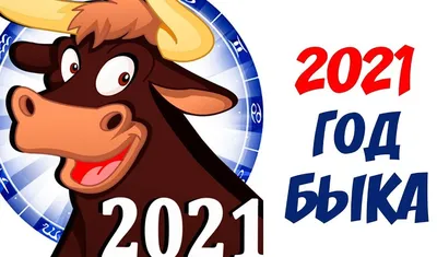 Восточный гороскоп для Быка – 2022: самый подробный прогноз