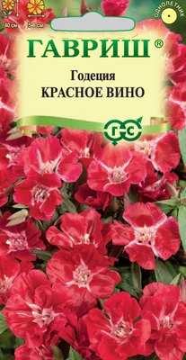 ✓ Семена Годеция Красное вино, 0,05г, Гавриш, Цветочная коллекция по цене  30 руб. ◈ Большой выбор ◈ Купить по всей России ✓ Интернет-магазин Гавриш ☎  8-495-902-77-18