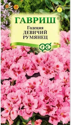 Годеция семена купить | Интернет магазин семян цветов «Агросемфонд»