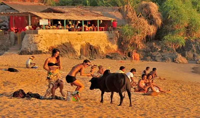 GOKARNA, KARNATAKA, INDIA - FEBRUARY 27, 2014:Locals Bathe In The Sacred  Lake Kotiteertha In Gokarna, February 27, 2014, In Gokarna, Karnataka,  India. Stock Photo, Picture and Royalty Free Image. Image 27094984.