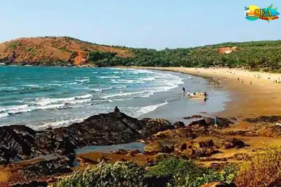 Gokarna in India stock photo. Image of tourism, tree - 132575118