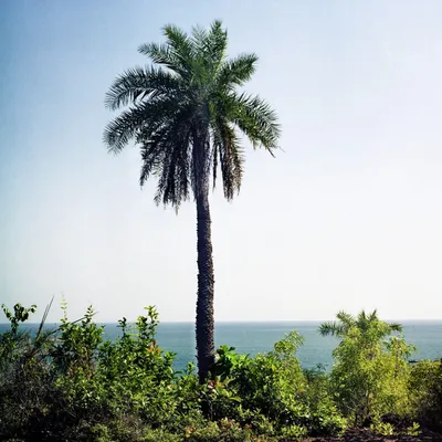 Gokarna, Karnataka, India | Travel photography, Travel destinations in  india, Travel destinations