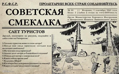 Кошачий тест на внимательность: попробуйте отыскать колбасу, багет и  кусочек пиццы | Кот-воитель, Кошачьи, Головоломки