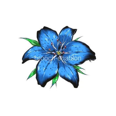 Голубая лилия стоковое фото. изображение насчитывающей пурпурово - 51425310