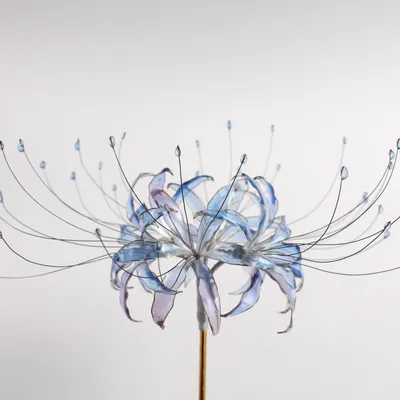 Голубая лилия цветка на белизне изолировала предпосылку с путем  клиппирования Closeup Отсутствие теней Для конструкции Стоковое Изображение  - изображение насчитывающей цветок, флора: 114600545