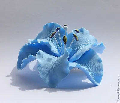 Голубая лилия реалистично» — создано в Шедевруме