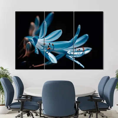 Голубые лилии (69 фото)