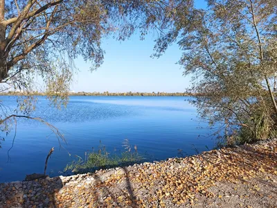 11 озер с прозрачной водой в Киеве и рядом