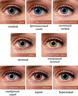 Линзы FRESHLOOK ColorBlends без коррекции Карий (Brown) по доступной цене