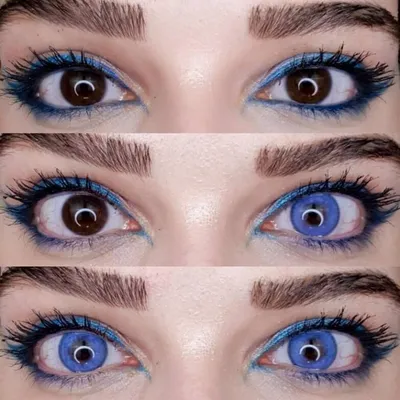 Цветные голубые контактные линзы для глаз MAGESTIC 1 пара, 12 месяцев, 0.00  - купить с доставкой по выгодным ценам в интернет-магазине OZON (738141030)