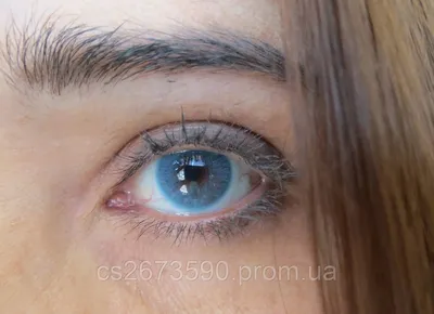 Купить цветные контактные линзы Adria Color 3 tone третий тон в интернет  магазине Экспресс Оптика в Челябинске