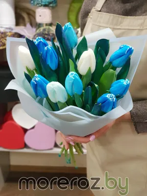 ButonLab© | flowers | цветы on Instagram: \"Завораживающие синие тюльпаны 💙  Любите такие оттенки? Если вы хотите удивить близкого человека - то этот  букет точно станет прекрасным сюрпризом! Букет из эксклюзивных окрашенных