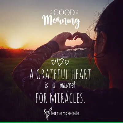 Good Morning Images, Wishes, Quotes, Greetings, Text, WhatsApp Status N  Messages