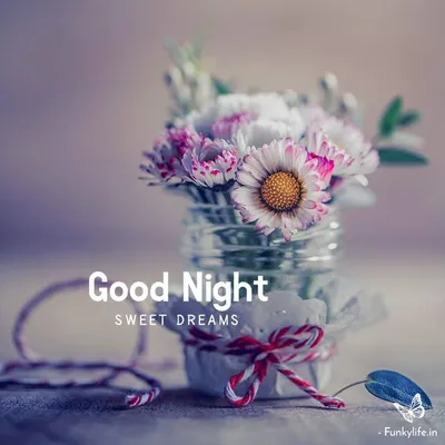 🥀🥀🥀Good Night🥀🥀🥀 #goodnight #love #instagood #boanoite #instagram  #like #goodmorning #night #goodvibes #photography #photooftheday #follow… |  Instagram