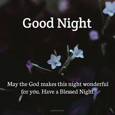 GOOD NIGHT 🌚 | Facebook