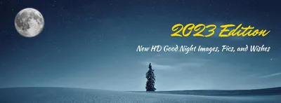 Good Night Quotes Stock Photos and Pictures - 6,005 Images | Shutterstock