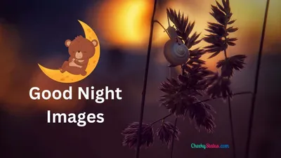 Good Night Images | New Good Night photo wishes love Download