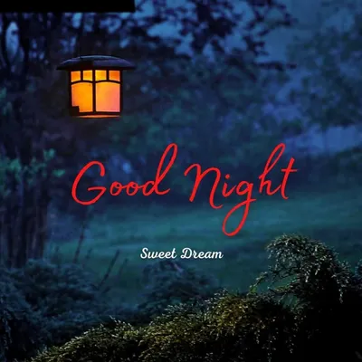 50 Captivating Good Night Love Quotes to Share with Your Loved One | by  Roop Dey | Medium