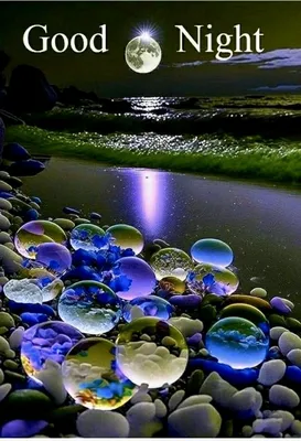 Good Night by Julia Blohberger - Penguin Books Australia