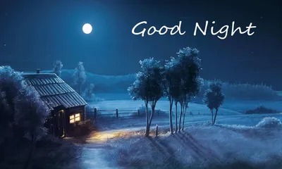 Good Night Sweet Dreams
