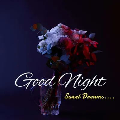 Most Beautiful Good Night Images 2023 Download