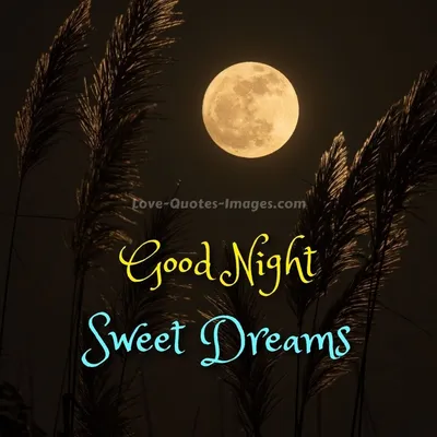 Get Good Night Message Images Instantly for Free| Fotor