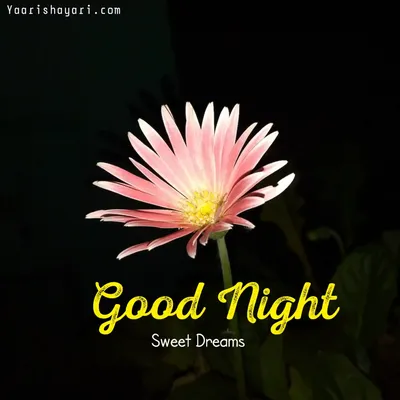 28+ Free Good Night Friday Images with Quotes (2023)