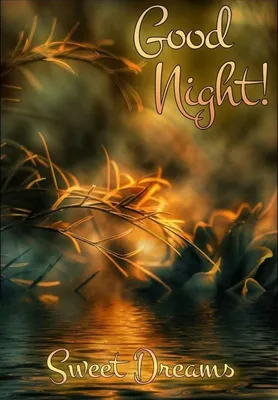 35+ Lovely Good Night Images Free Download - UsefulStep