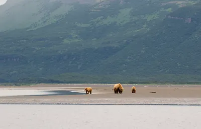 Фотография Горы три медведя в хорошем качестве