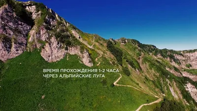 Палаточный лагерь Camp 2050 Курорт Красная Поляна | Путеводитель по Красной  Поляне