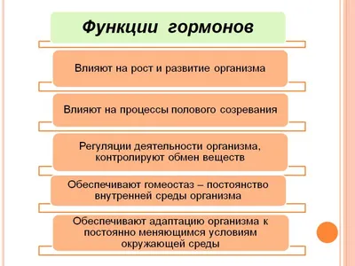 Биоидентичные гормоны, когда и как долго можно принимать — Клиника  Perfecto-Room в Киеве