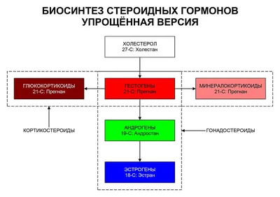 Гормоны счастья (Лоретта Грациано Бройнинг) — купить в МИФе