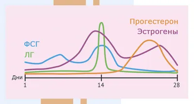 Гормон | New-Science.ru