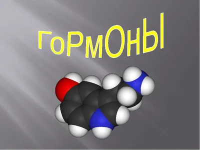 Скачайте плакат-путеводитель по гормонам счастья