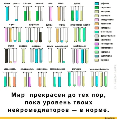 Что такое гормоны счастья и как их повысить — блог медицинского центра ОН  Клиник