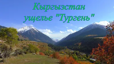 Горное ущелье в интернет-магазине Ярмарка Мастеров по цене 25000 ₽ –  8JEFDRU | Картины, Ташкент - доставка по России