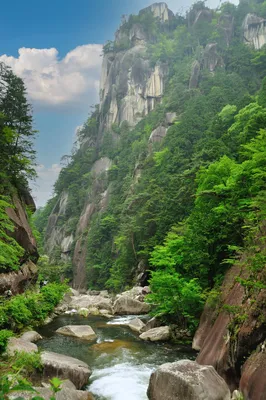 Узкое горное ущелье с быстрой рекой Стоковое Изображение - изображение  насчитывающей природа, активизма: 161543367