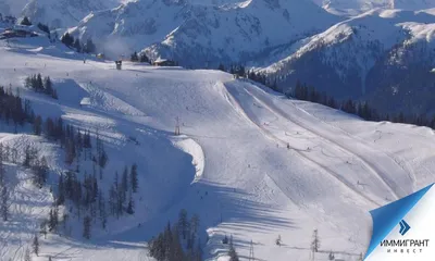 Австрия откроет горнолыжные курорты, но запретит вечеринки