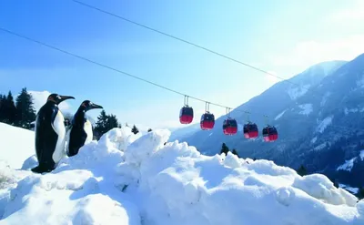 12 лучших горнолыжных курортов Австрии. Проверено лично.