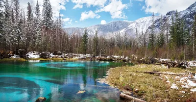 Удивительное время на Алтае – весна! | Altai Travel Guide